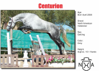 Centurion by Chicardo